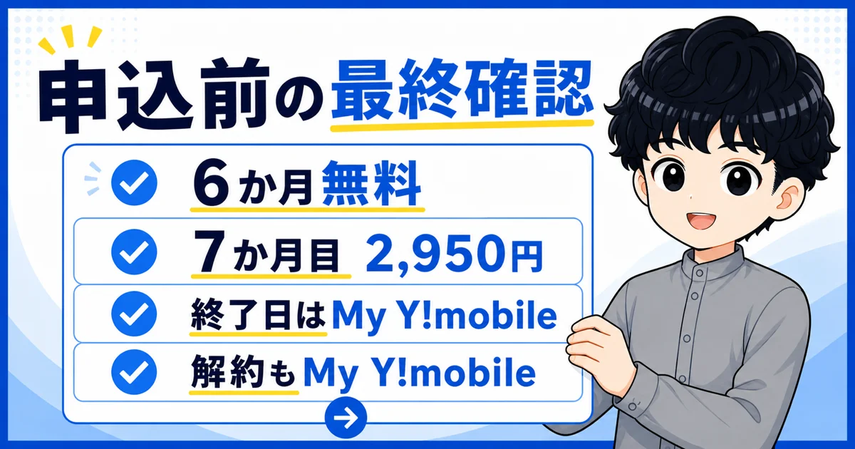 07-ymobile-perplexity-summary