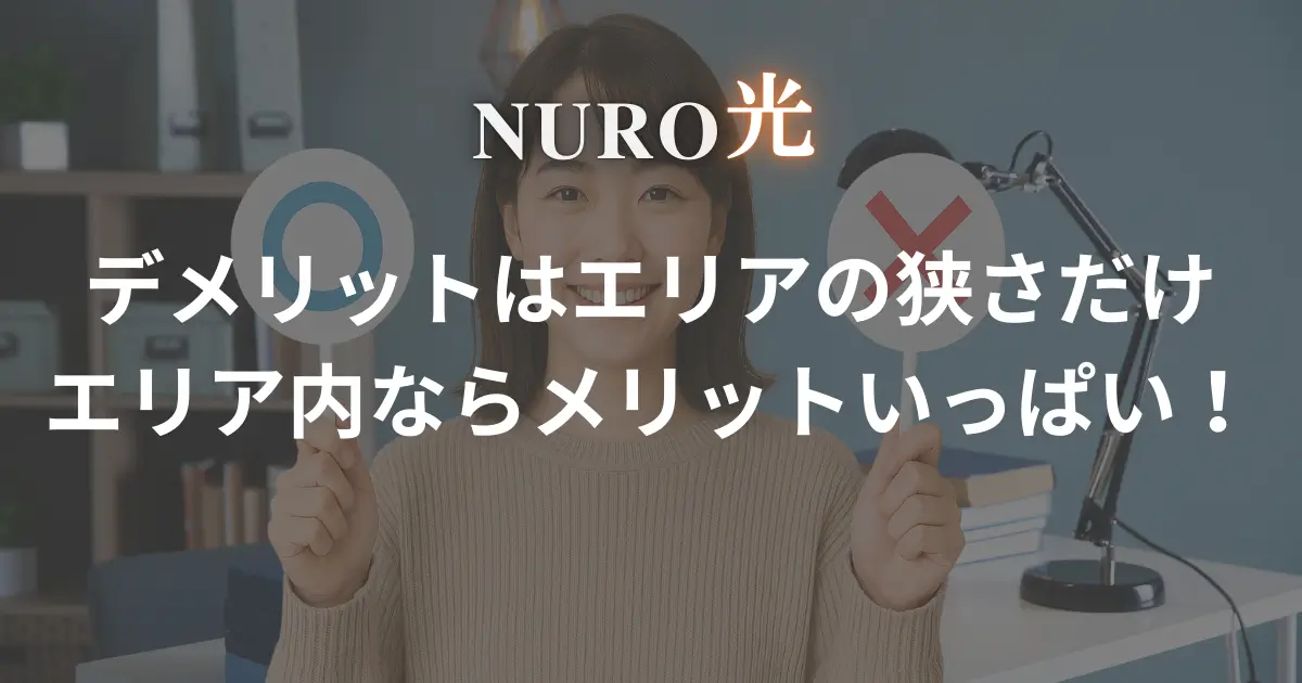 nuro-hikari-demerit-merit