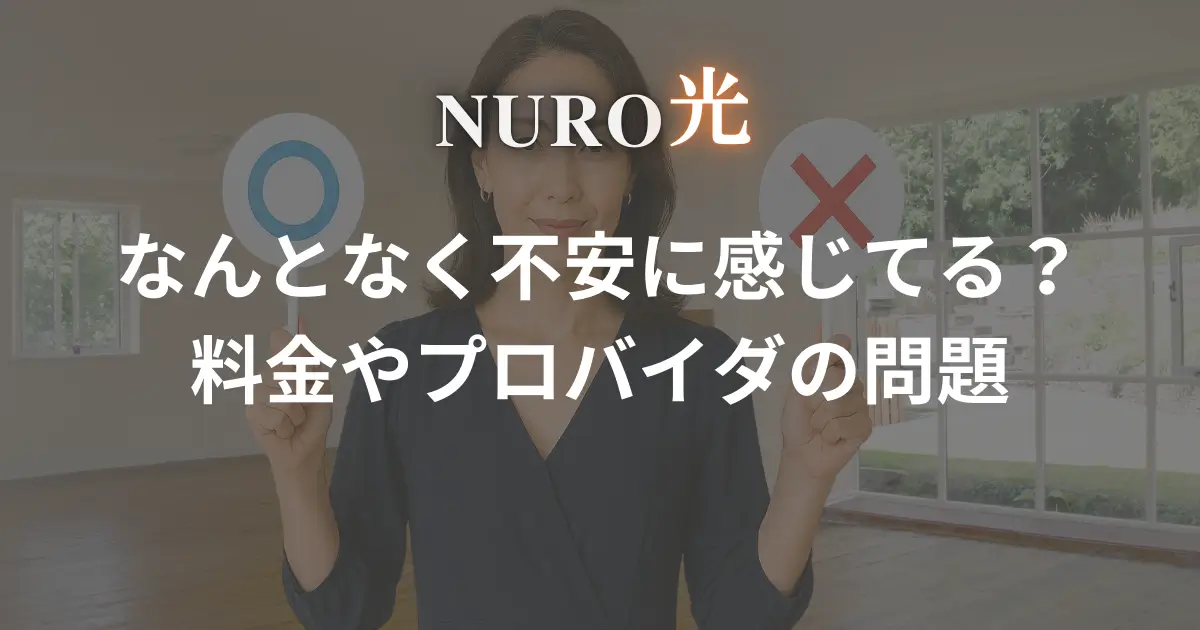 nuro-hikari-demerit-other