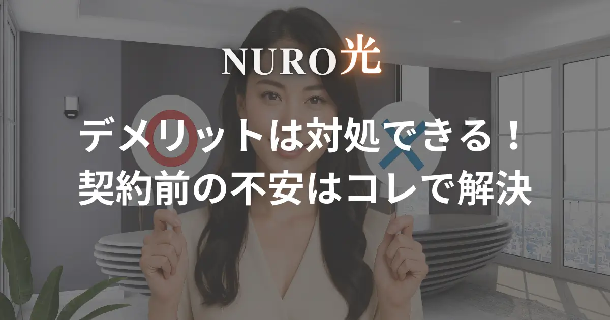 nuro-hikari-demerit